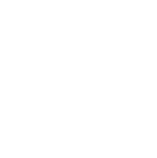 Our projects